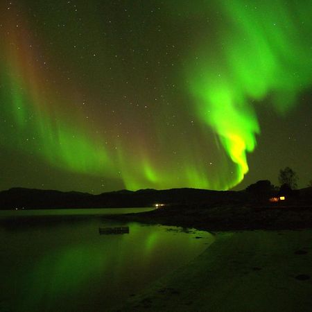 Off-The-Grid Cabin On The Island Of Senja In Northern Norway Brygghaugen Zewnętrze zdjęcie