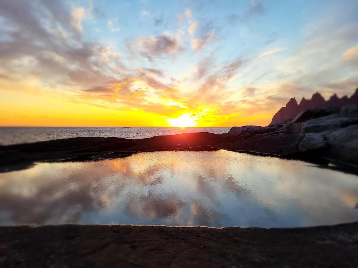Off-The-Grid Cabin On The Island Of Senja In Northern Norway Brygghaugen Zewnętrze zdjęcie