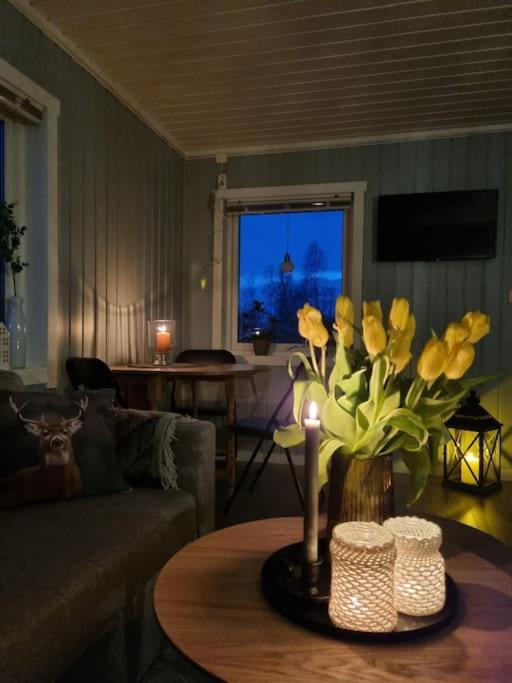 Off-The-Grid Cabin On The Island Of Senja In Northern Norway Brygghaugen Zewnętrze zdjęcie