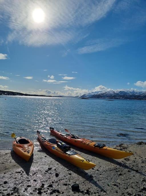 Off-The-Grid Cabin On The Island Of Senja In Northern Norway Brygghaugen Zewnętrze zdjęcie