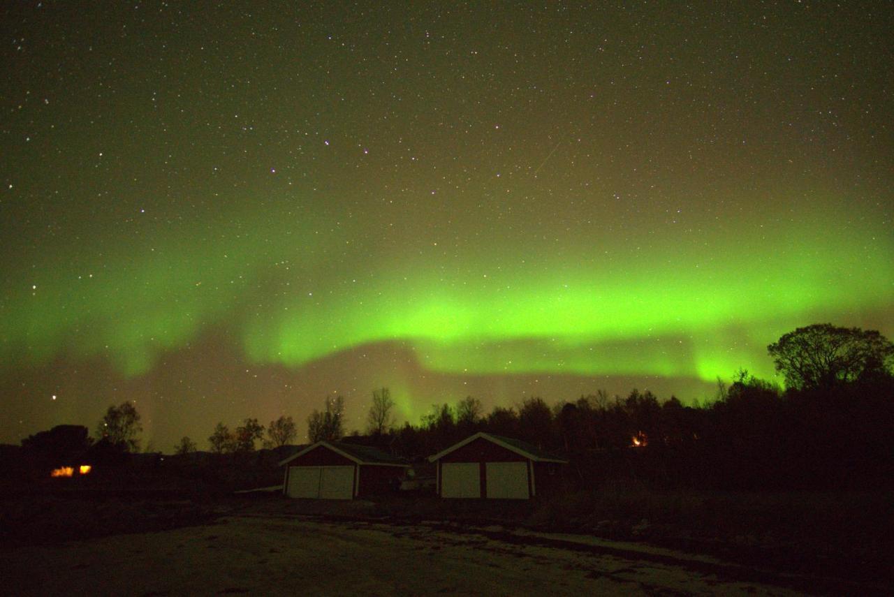 Off-The-Grid Cabin On The Island Of Senja In Northern Norway Brygghaugen Zewnętrze zdjęcie